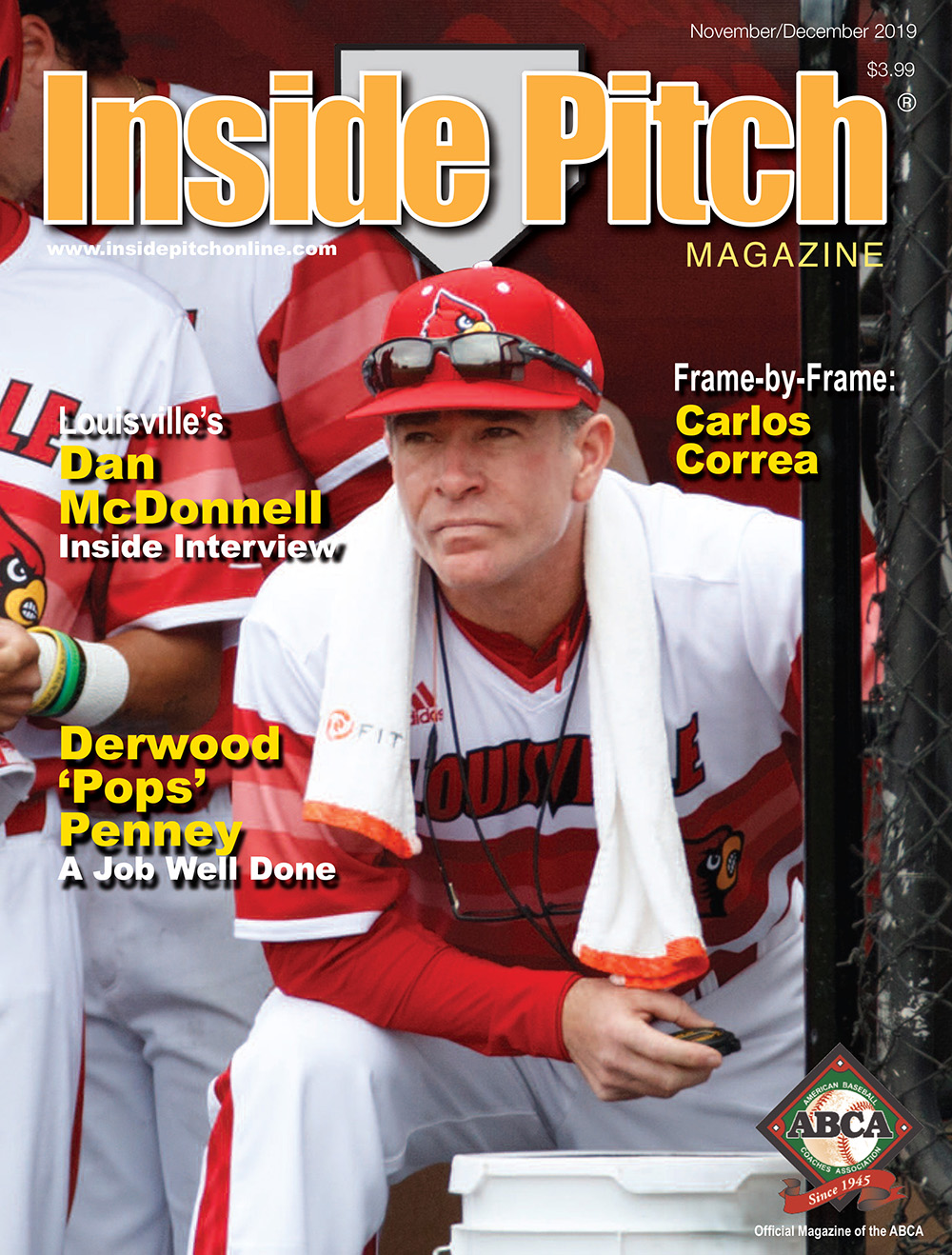 Inside Pitch Cover