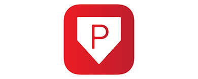 Prolook Logo