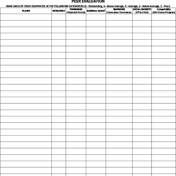 Peer Evaluation